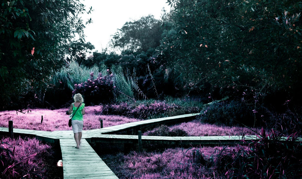 A woman walking on a boardwalk comes upon a crossroads. Which path to take? Will she do the right thing?