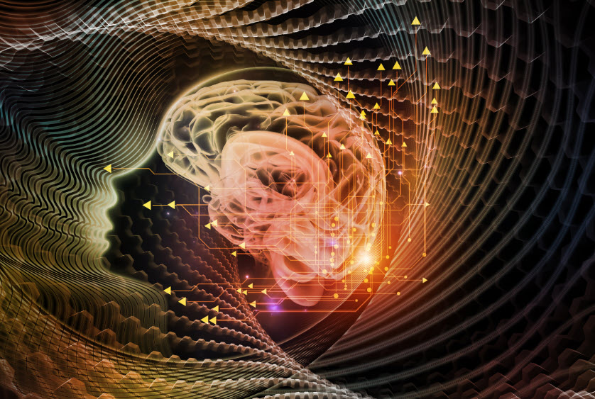 The nature of the brain with all its energy as embodied in the science of mindfulness to ensure mental wellness.
