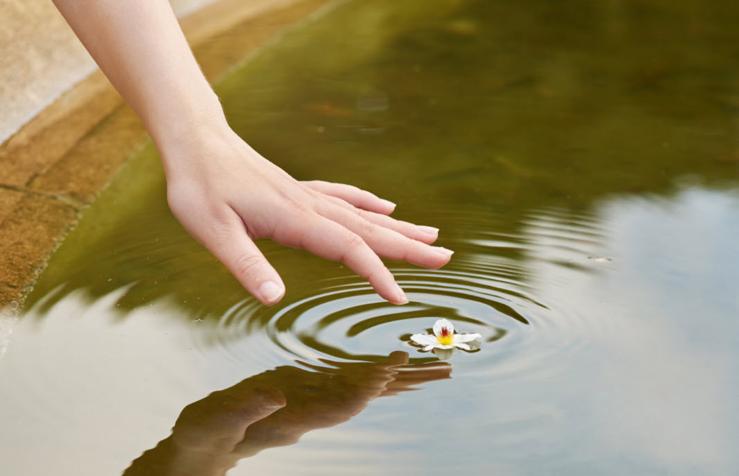 A dainty flower floats in a garden pond with ripples radiating from it as a woman's fingers attempts to touch it. There's meaning in the simple things in life, a reason to pause with purpose.