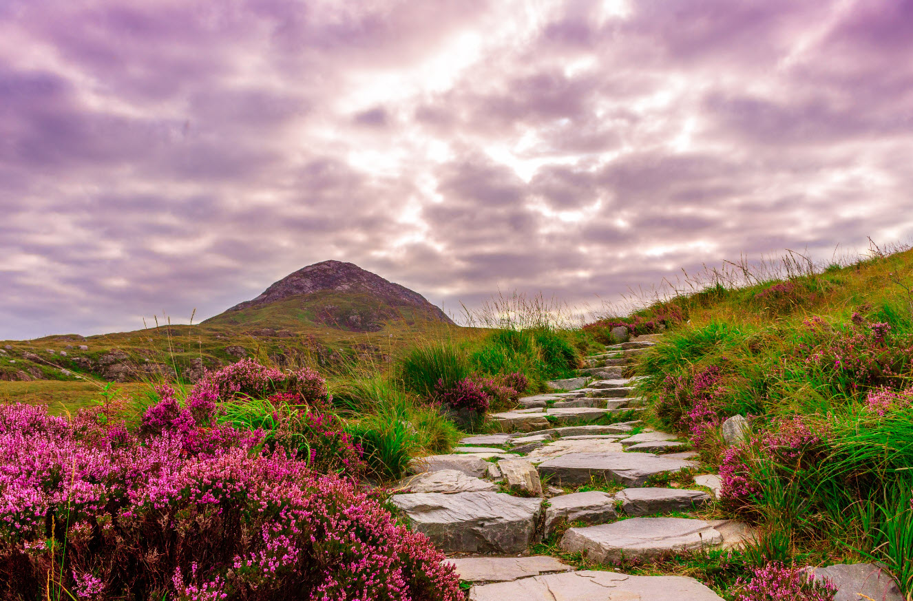 In the background is a hill. Wildflowers caress a stone path up the hill. It's a blueprint to purpose.